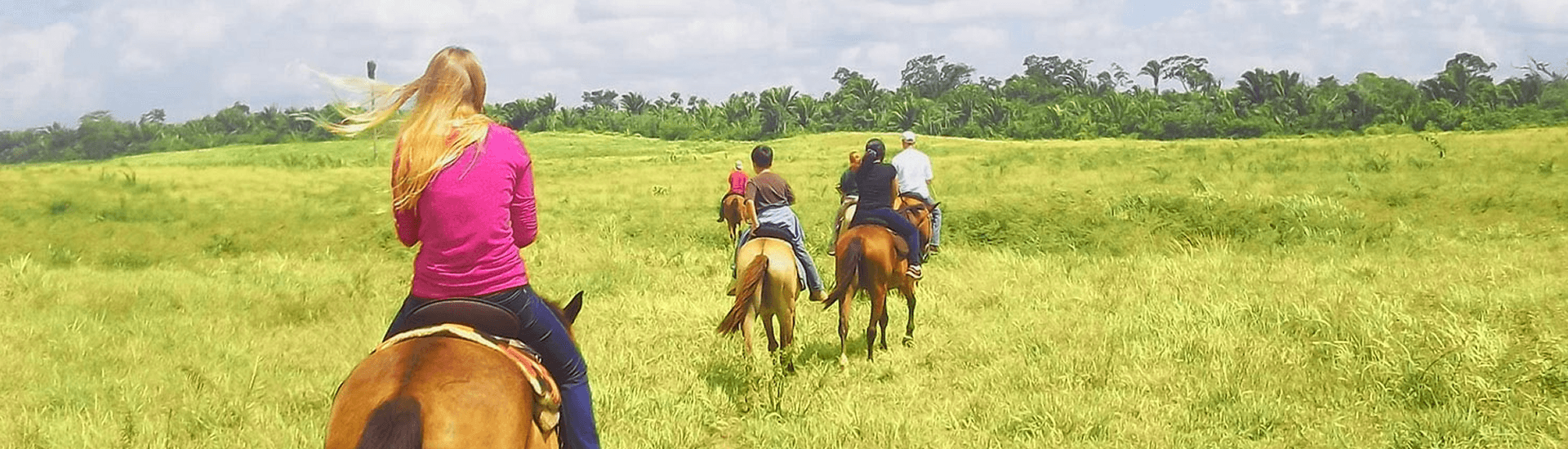 A group of people ride horses through a field of green grass, heading towards a line of trees in the distance.