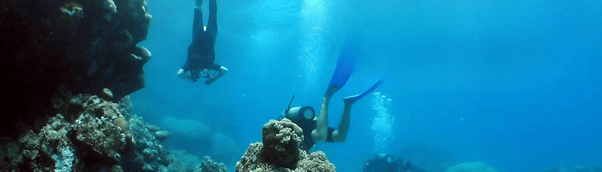 Two scuba divers are exploring a vibrant coral reef underwater. Sunlight filters down from the surface, illuminating the colorful coral and marine life.