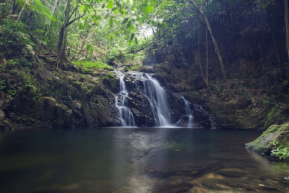 A scenic waterfall cascading into a crystal-clear pool surrounded by lush green rainforest. The water appears to be flowing gently, creating ripples on the surface of the pool.
