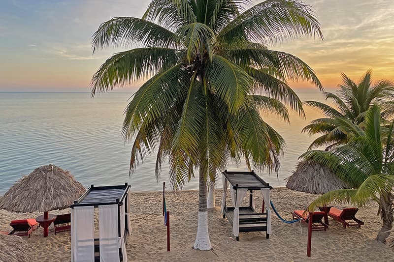 Tropical beach scene at sunset with palm trees, lounge chairs, and thatched umbrellas. Tropical beach scene at sunset with palm trees, lounge chairs, and thatched umbrellas.