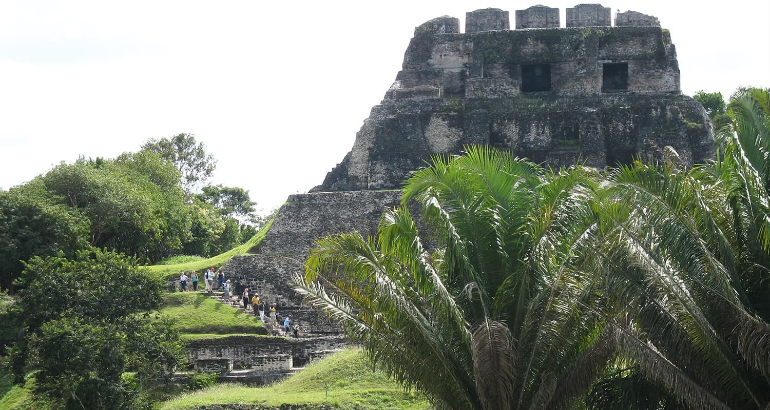A group of people climbing a steep staircase leading up to a large, ancient Mayan stone pyramid. Lush green trees surround the pyramid, and a palm tree is visible in the foreground. The sky is clear and blue.