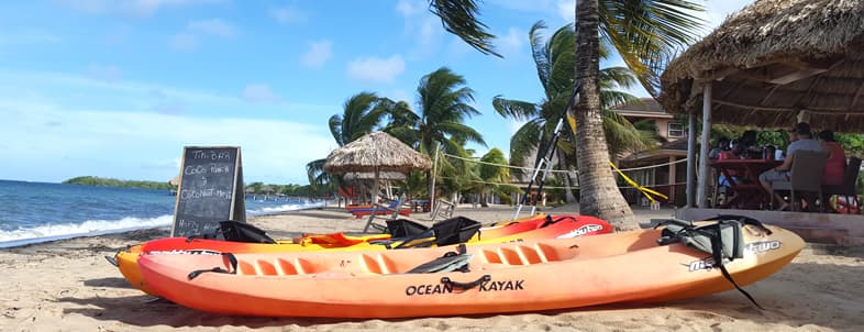 Three kayaks on a sandy beach with palm trees and a thatched-roof hut in the background. Three kayaks on a sandy beach with palm trees and a thatched-roof hut in the background.