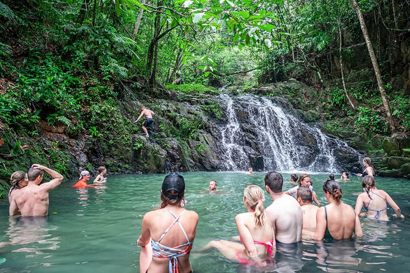 A group of people swimming in a natural pool by a waterfall surrounded by lush greenery. A group of people swimming in a natural pool by a waterfall surrounded by lush greenery.