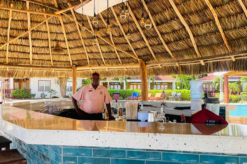 A bartender stands behind a thatched-roof bar next to a swimming pool. A bartender stands behind a thatched-roof bar next to a swimming pool.