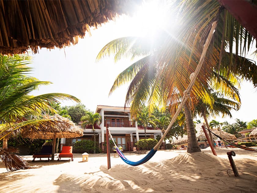 A sunny beach scene featuring palm trees, a hammock, and a tropical house in the background.