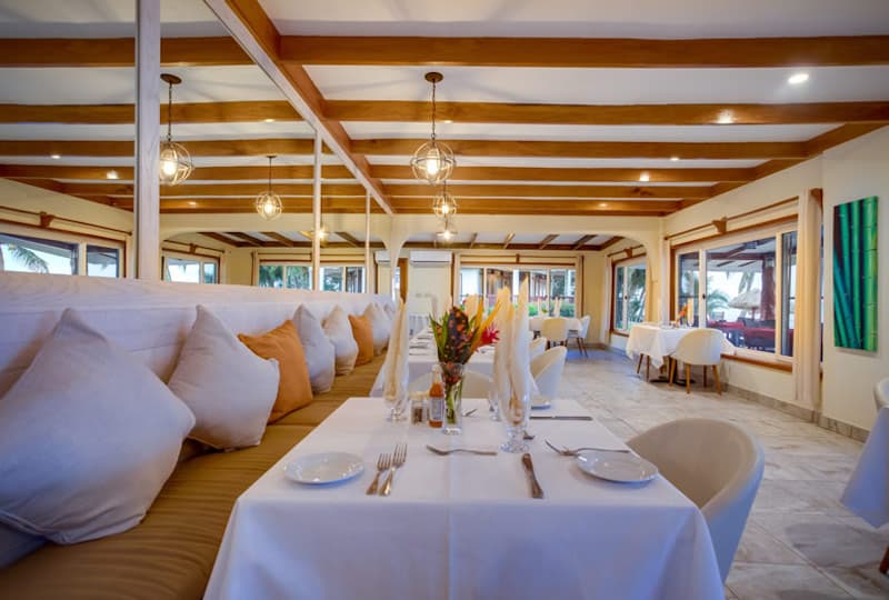 A cozy restaurant interior featuring a mix of tables and plush seating, with natural light and tropical decor.