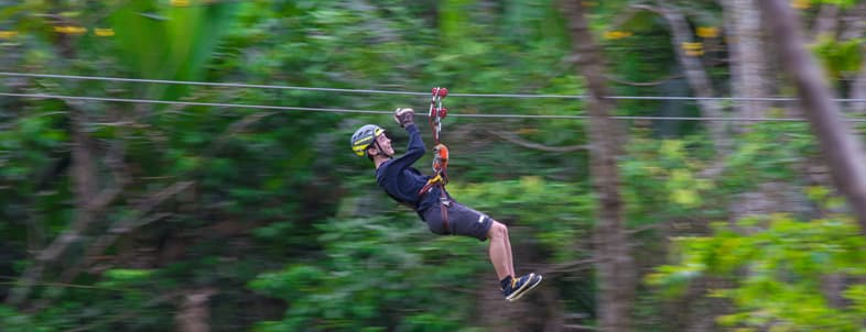 A person zips down a zip line through a lush green forest.