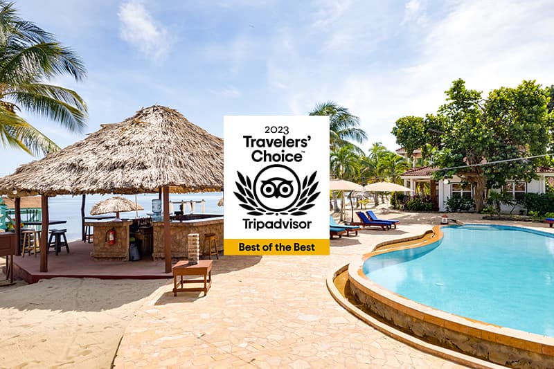 A tropical resort featuring a pool and palm trees, with a "2023 Travelers' Choice" badge from Tripadvisor. A tropical resort featuring a pool and palm trees, with a "2023 Travelers' Choice" badge from Tripadvisor.