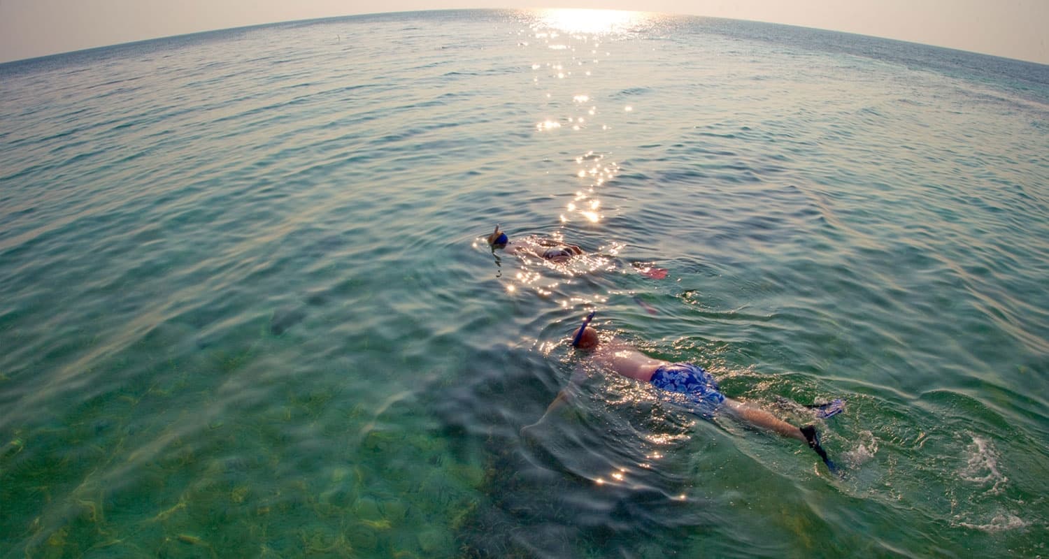 Two people snorkeling in ocean.