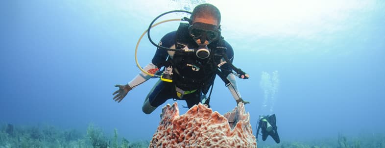 A diver explores coral underwater with another diver in the background. A diver explores coral underwater with another diver in the background.