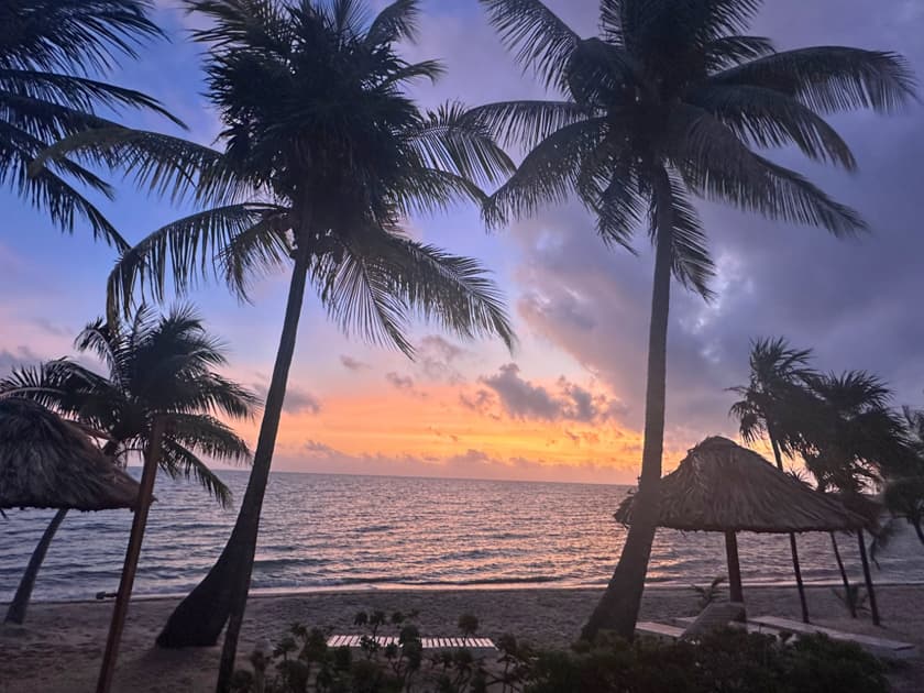 Sunset over the ocean framed by palm trees and thatched huts.