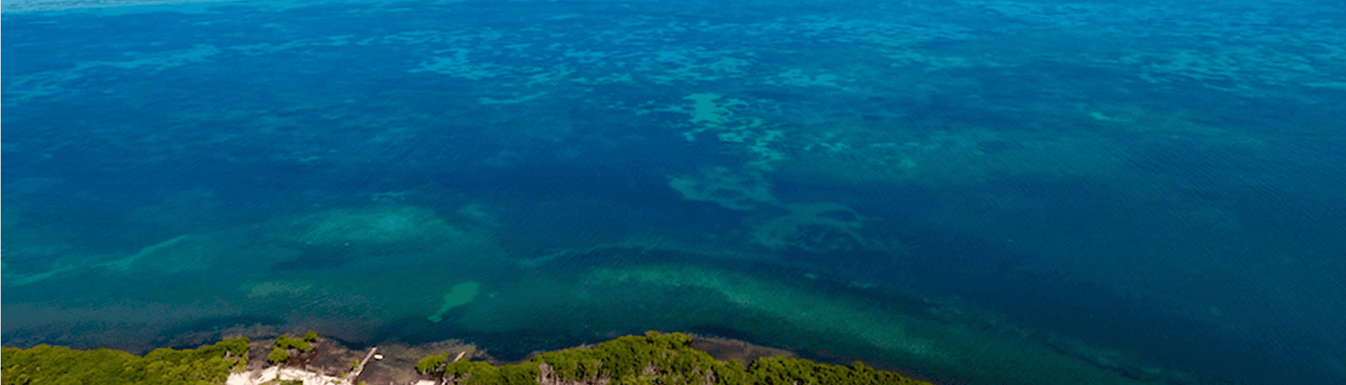 Aerial view of a tropical ocean with shallow, turquoise waters and dark green vegetation along the shoreline.