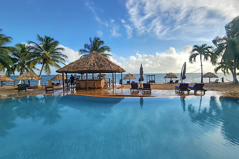 A serene resort poolside scene with palm trees and thatched umbrellas by the beach. A serene resort poolside scene with palm trees and thatched umbrellas by the beach.