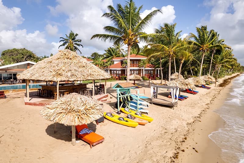 A serene beach scene featuring palm trees, thatched huts, and colorful kayaks lined up on the sand.