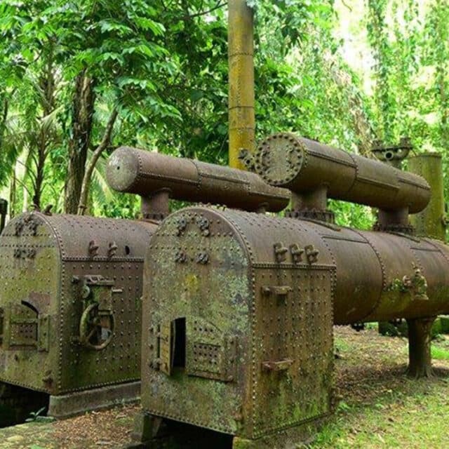 A group of rusty, overgrown industrial sugar processing machines sit abandoned in a dense rainforest.