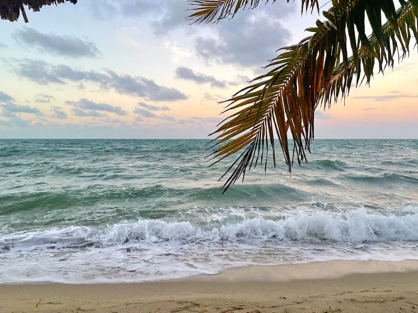 Waves gently crashing on a sandy beach under a pastel sky with palm fronds in view. Waves gently crashing on a sandy beach under a pastel sky with palm fronds in view.