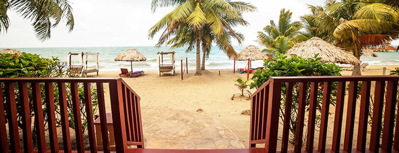 View of a sandy beach with palm trees and thatched umbrellas, seen from wooden stairs. View of a sandy beach with palm trees and thatched umbrellas, seen from wooden stairs.