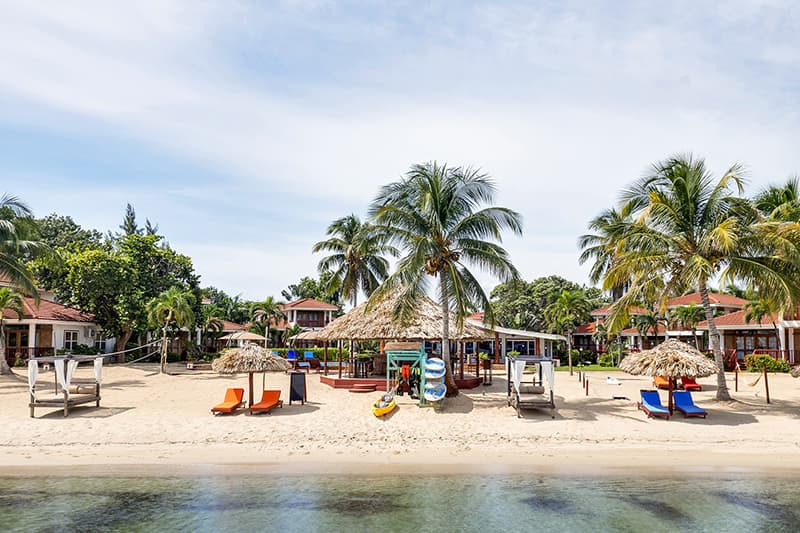 A tropical beach scene featuring lounge chairs, palm trees, and a swimming area with a water slide. A tropical beach scene featuring lounge chairs, palm trees, and a swimming area with a water slide.
