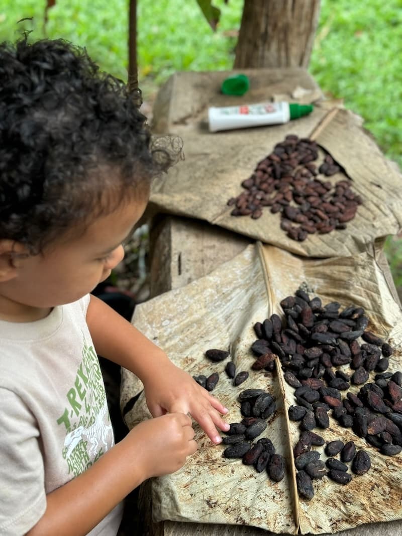 A young child sorts cacao beans on large leaves in an outdoor setting.