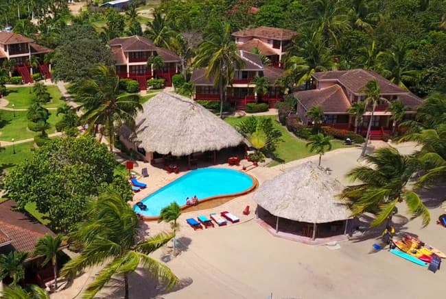 Aerial view of a resort featuring a pool surrounded by palm trees and thatched-roof cabanas.