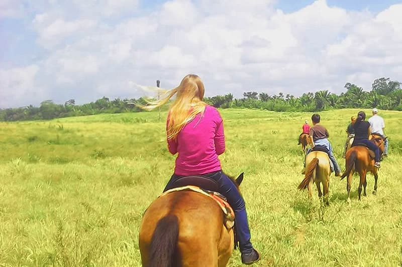 A group of people ride horses through a lush, grassy landscape under a bright blue sky.