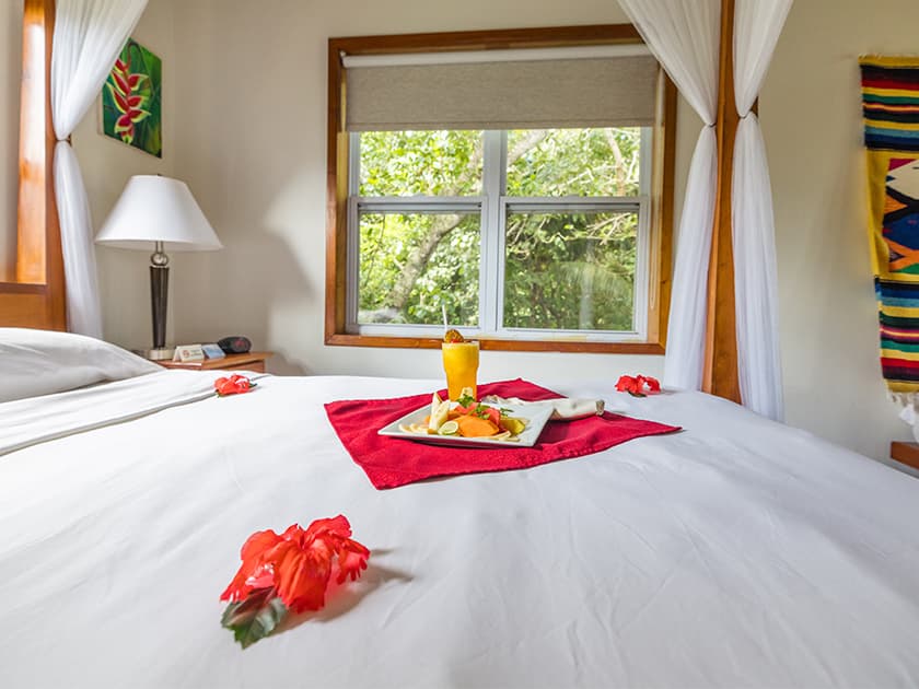 A brightly decorated bed features a colorful breakfast platter and a drink, with floral accents and a window view of greenery. A brightly decorated bed features a colorful breakfast platter and a drink, with floral accents and a window view of greenery.