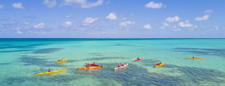 Eight kayakers navigate the turquoise waters under a clear blue sky. Eight kayakers navigate the turquoise waters under a clear blue sky.