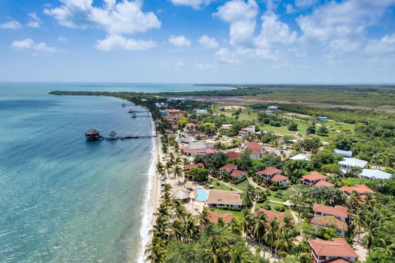 Aerial view of a coastal community with palm trees, houses, and a serene ocean.