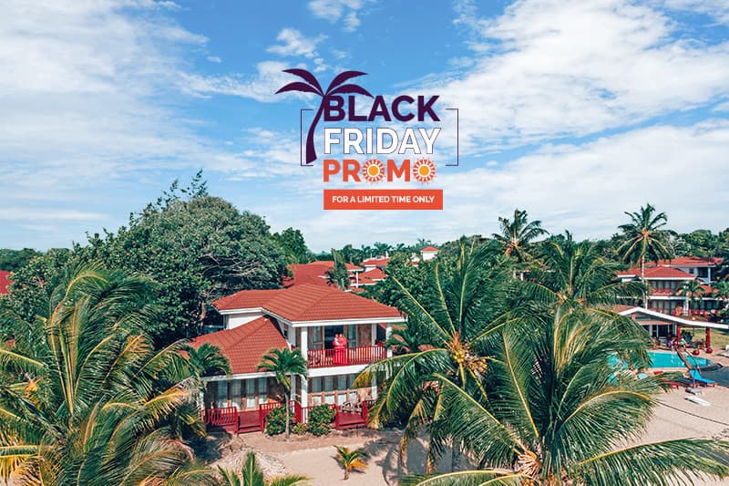 A resort with red-roofed buildings surrounded by palm trees, featuring a "Black Friday Promo" sign for a limited time offer. A resort with red-roofed buildings surrounded by palm trees, featuring a "Black Friday Promo" sign for a limited time offer.
