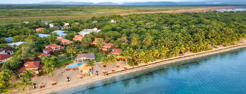 Aerial view of a tropical resort with palm trees along the beach and a clear blue sea. Aerial view of a tropical resort with palm trees along the beach and a clear blue sea.
