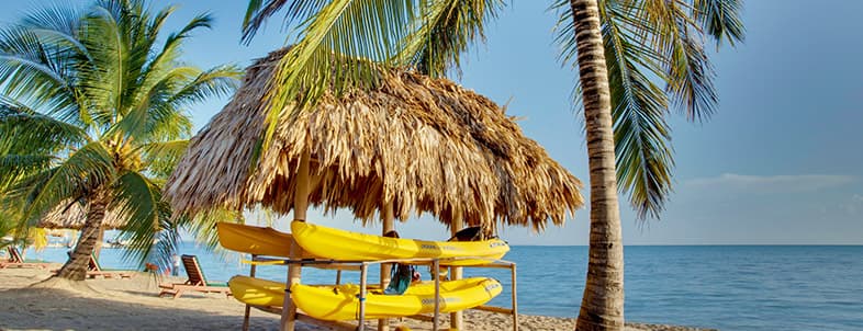 A beach scene featuring yellow kayaks under a thatched hut surrounded by palm trees and calm sea. A beach scene featuring yellow kayaks under a thatched hut surrounded by palm trees and calm sea.