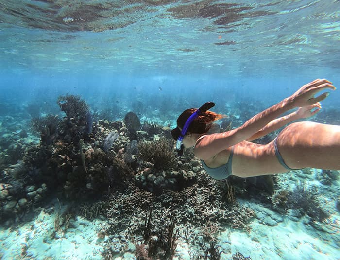 A person snorkeling underwater, surrounded by coral reefs and clear blue water.