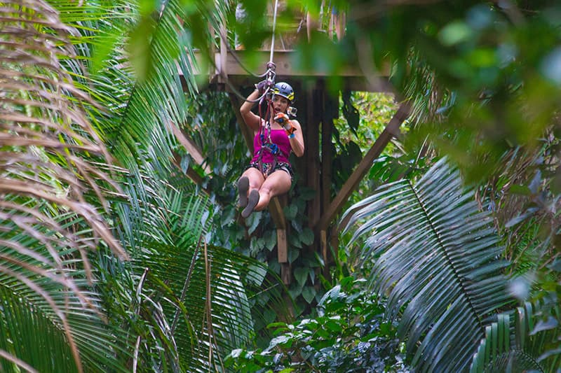 A person zip-lining through a lush green rainforest.