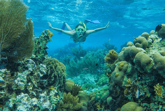 A snorkeler swims among vibrant coral reefs in clear blue water.