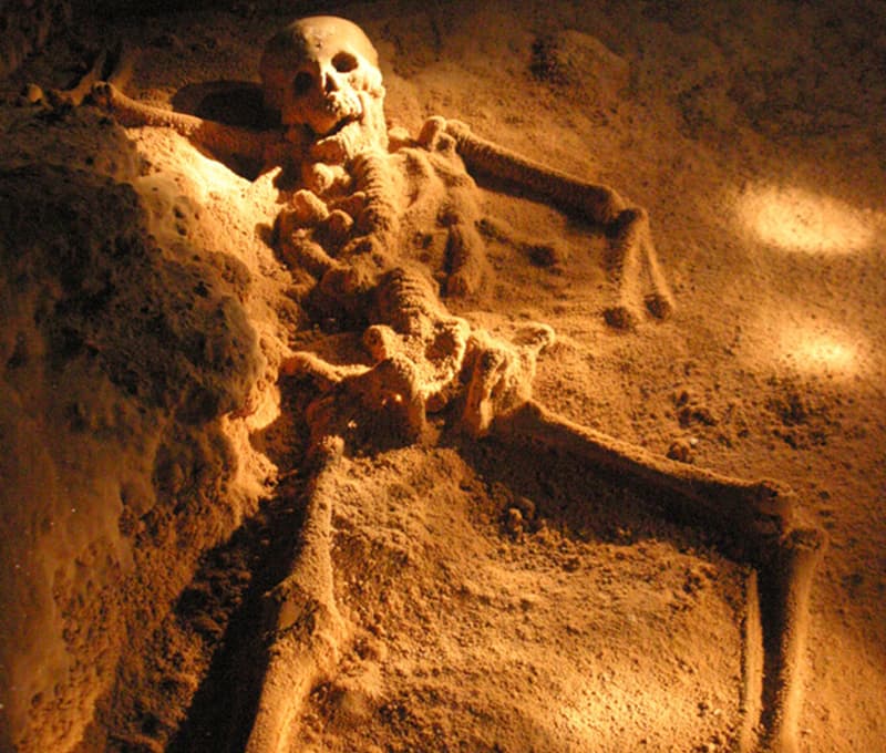 A human skeleton partially exposed in sandy ground.