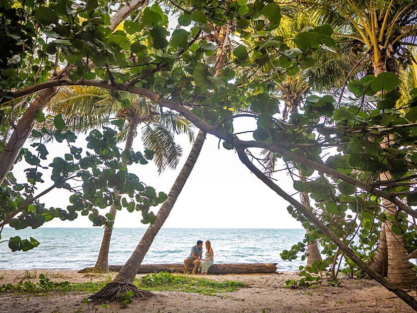 A couple sits on a log by the beach, framed by lush tropical foliage. A couple sits on a log by the beach, framed by lush tropical foliage.