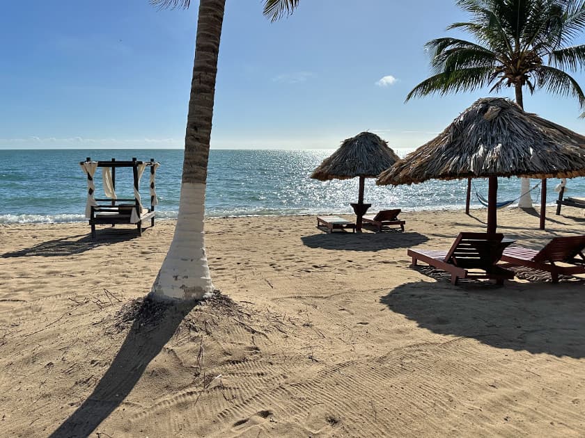 A sunny beach scene with lounge chairs and thatched umbrellas by the turquoise sea.