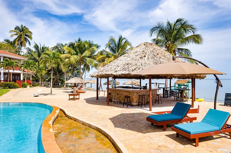 A tropical resort with a swimming pool, thatched-roof bar, and lounge chairs set among palm trees.