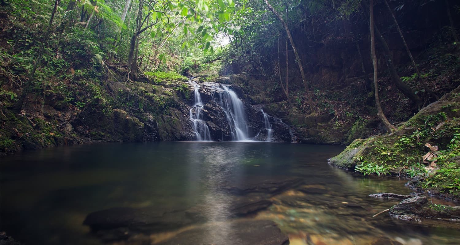 A scenic waterfall cascading into a crystal-clear pool surrounded by lush green rainforest. The water appears to be flowing gently, creating ripples on the surface of the pool.