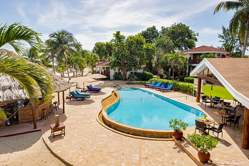 A sunny resort poolside area surrounded by palm trees and lounge chairs. A sunny resort poolside area surrounded by palm trees and lounge chairs.