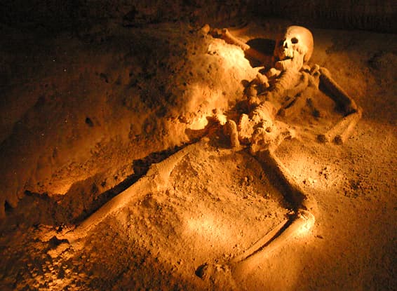 A partially buried skeleton illuminated by soft lighting in a cave setting.