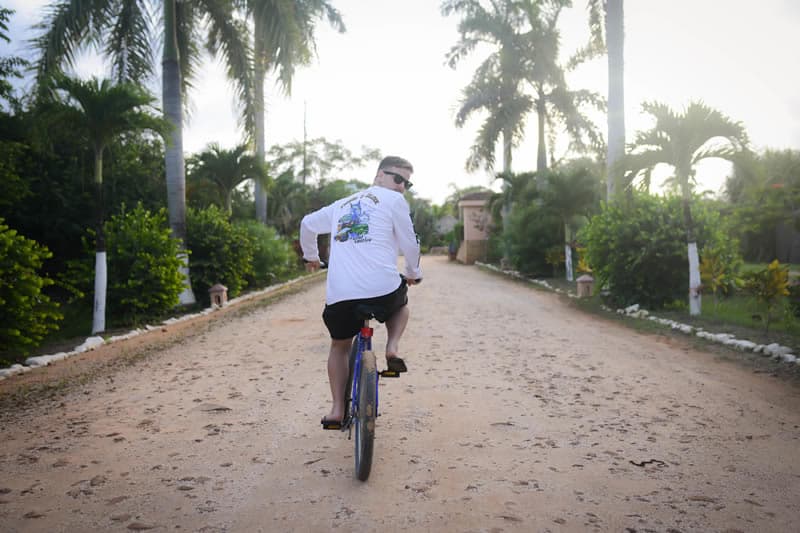 A person rides a bicycle down a sandy path lined with palm trees.