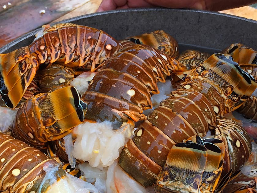 A close-up of freshly cooked lobster tails in a metal tray. A close-up of freshly cooked lobster tails in a metal tray.