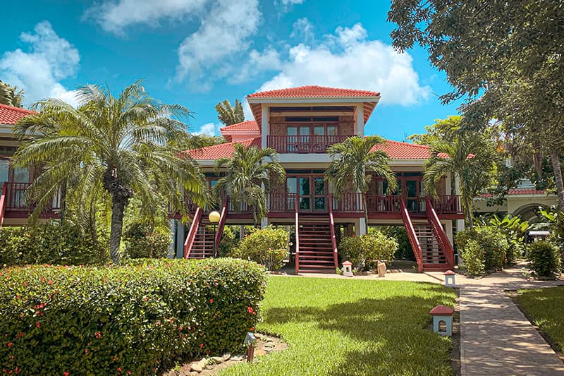 A tropical two-story house surrounded by lush greenery and palm trees under a bright blue sky. A tropical two-story house surrounded by lush greenery and palm trees under a bright blue sky.