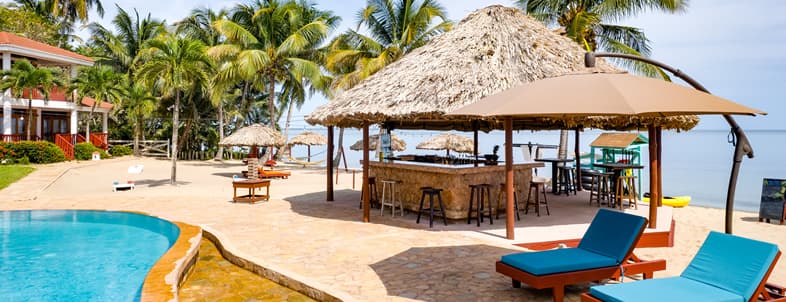 Tropical beachside resort with a pool, thatched hut bar, and lounge chairs under palm trees.