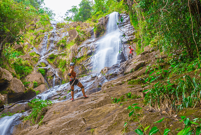 Two climbers ascend a rocky waterfall surrounded by lush greenery.