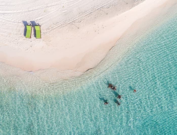 Aerial view of people snorkeling in the crystal-clear waters near Coco Plum Island Resort, with two beach chairs on the white sand beach.