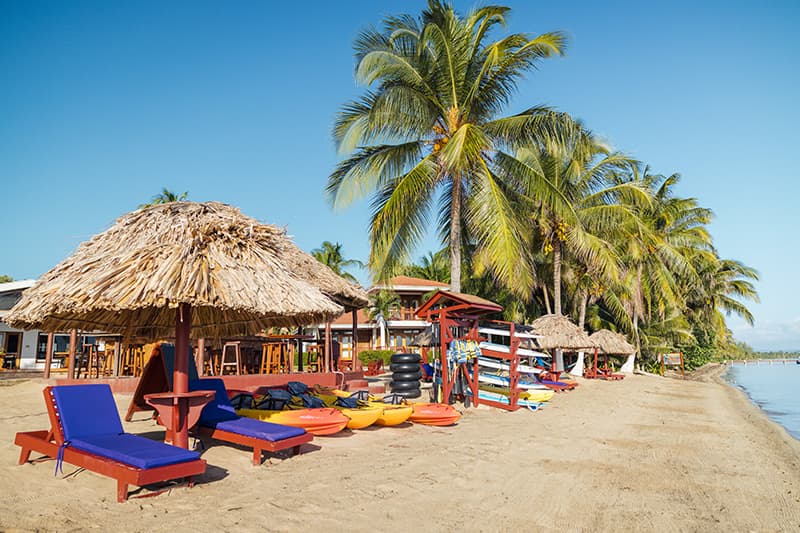 A sandy beach featuring lounge chairs, thatched umbrellas, and various water sports equipment under palm trees.