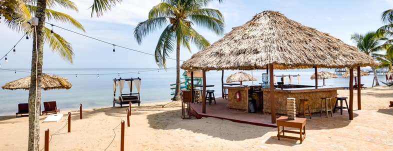 A sandy beach scene featuring a thatched-roof bar surrounded by palm trees and a tranquil sea. A sandy beach scene featuring a thatched-roof bar surrounded by palm trees and a tranquil sea.