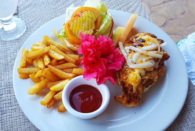 A plate with grilled chicken, French fries, a hamburger with lettuce, tomato, pickles, and a side of ketchup, garnished with a pink flower.